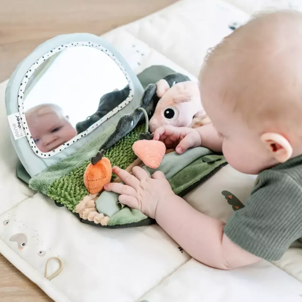 Aktivitetsleke Speil Baby Tiny Farm