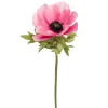 Anemone Rosa H43