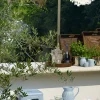 Asjett Middag Alice Ice Blue