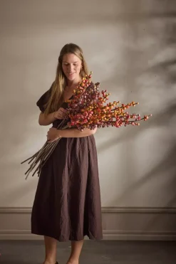 Aspargesbregne Grønn H75