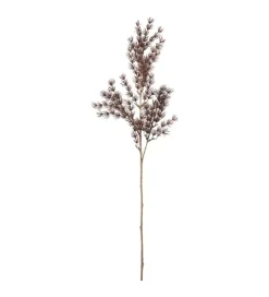 Aspargesbregne H75