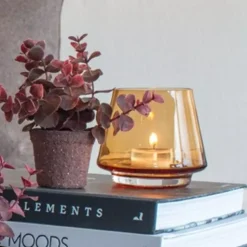 Autumn Telysholder Amber