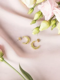 Ava Hoops