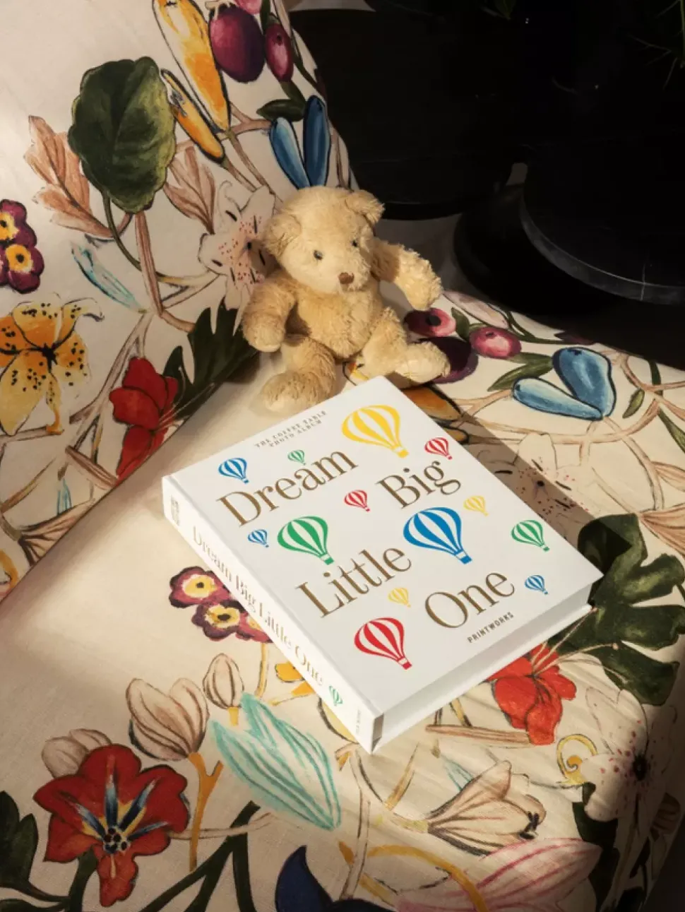 Babyalbum - Dream Big Little One