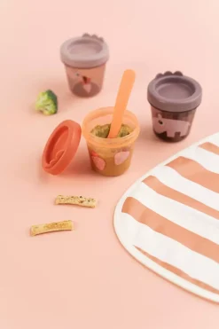 Baby Food Container S/3 Ozzo Powder