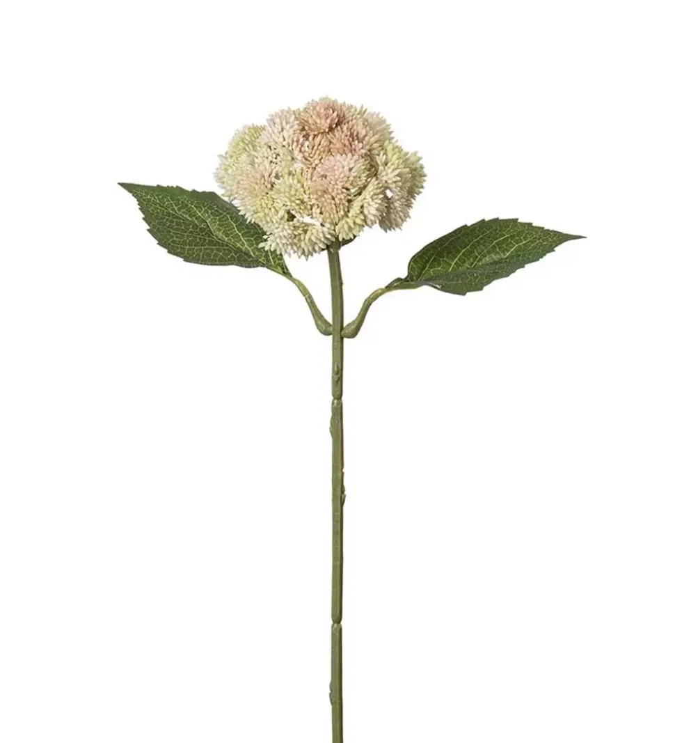 Bergknapp Lyserosa H37