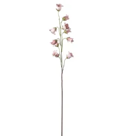 Blåklokke Lys Rosa H85