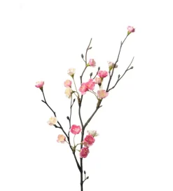 Blomsterkvist