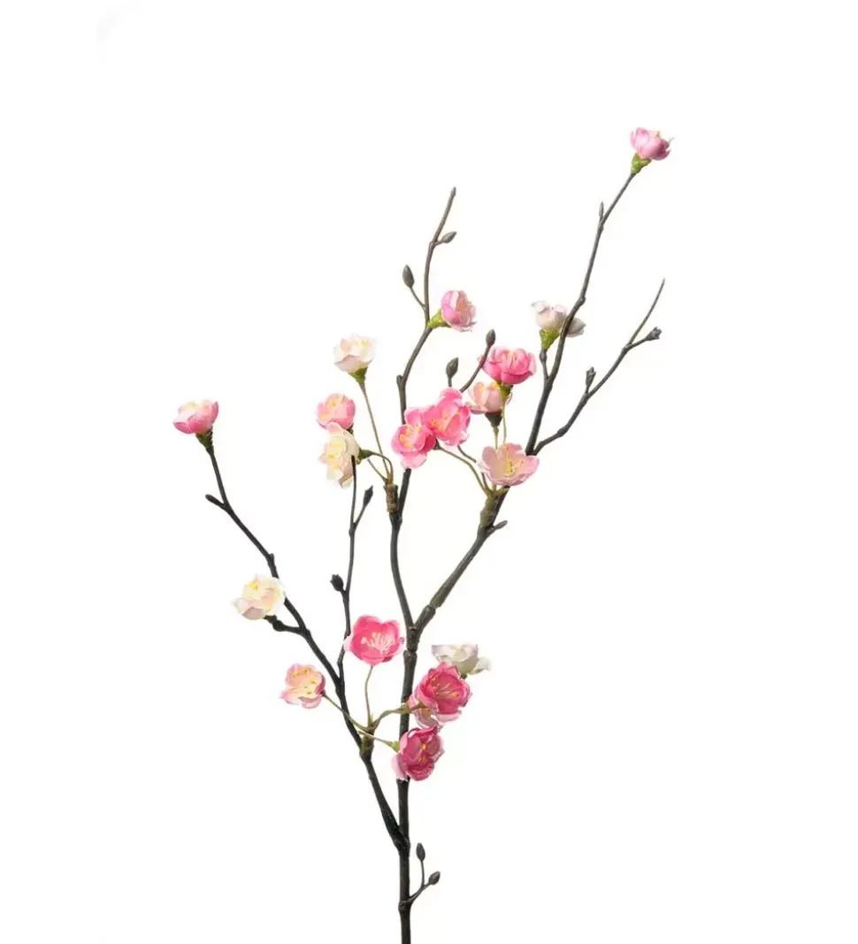Blomsterkvist