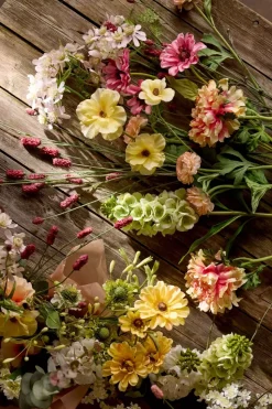 Blomsterskjerm Ros