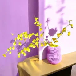 Bloom 100% Lilac