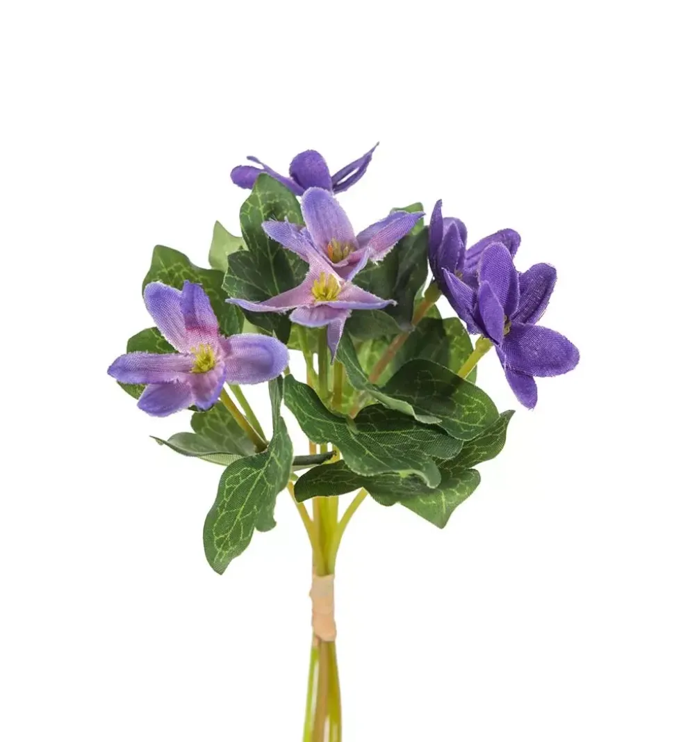 Blåveis H18