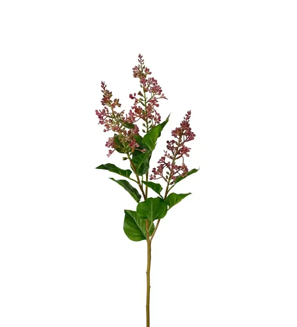 Bærkvist Burgunder H68