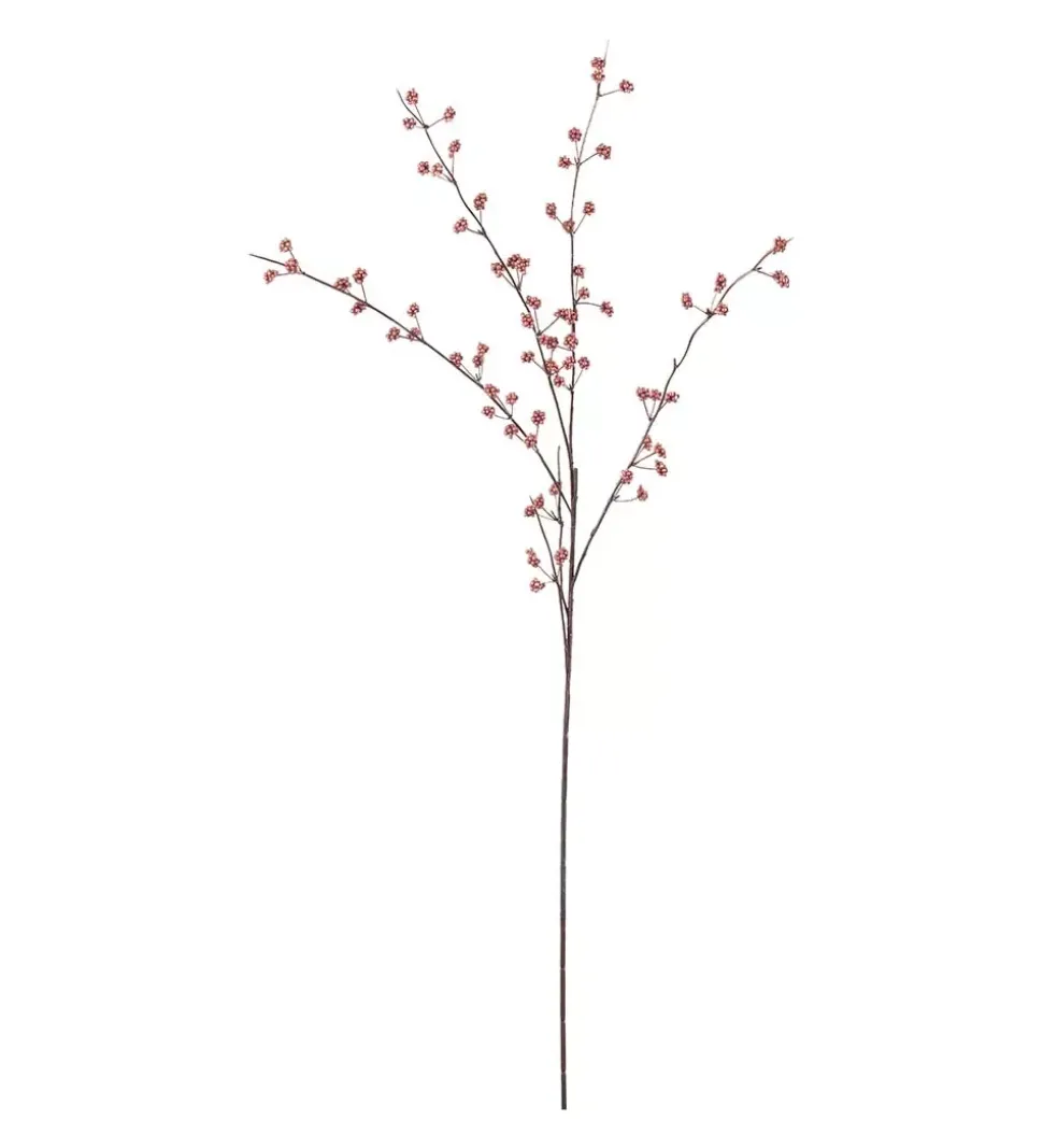 Bærkvist Rosa H80