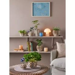 Cactus Vase H10,5