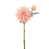 Dahlia Fersken H70