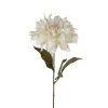 Dahlia Hvit H60