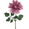 Dahlia Lilla H45