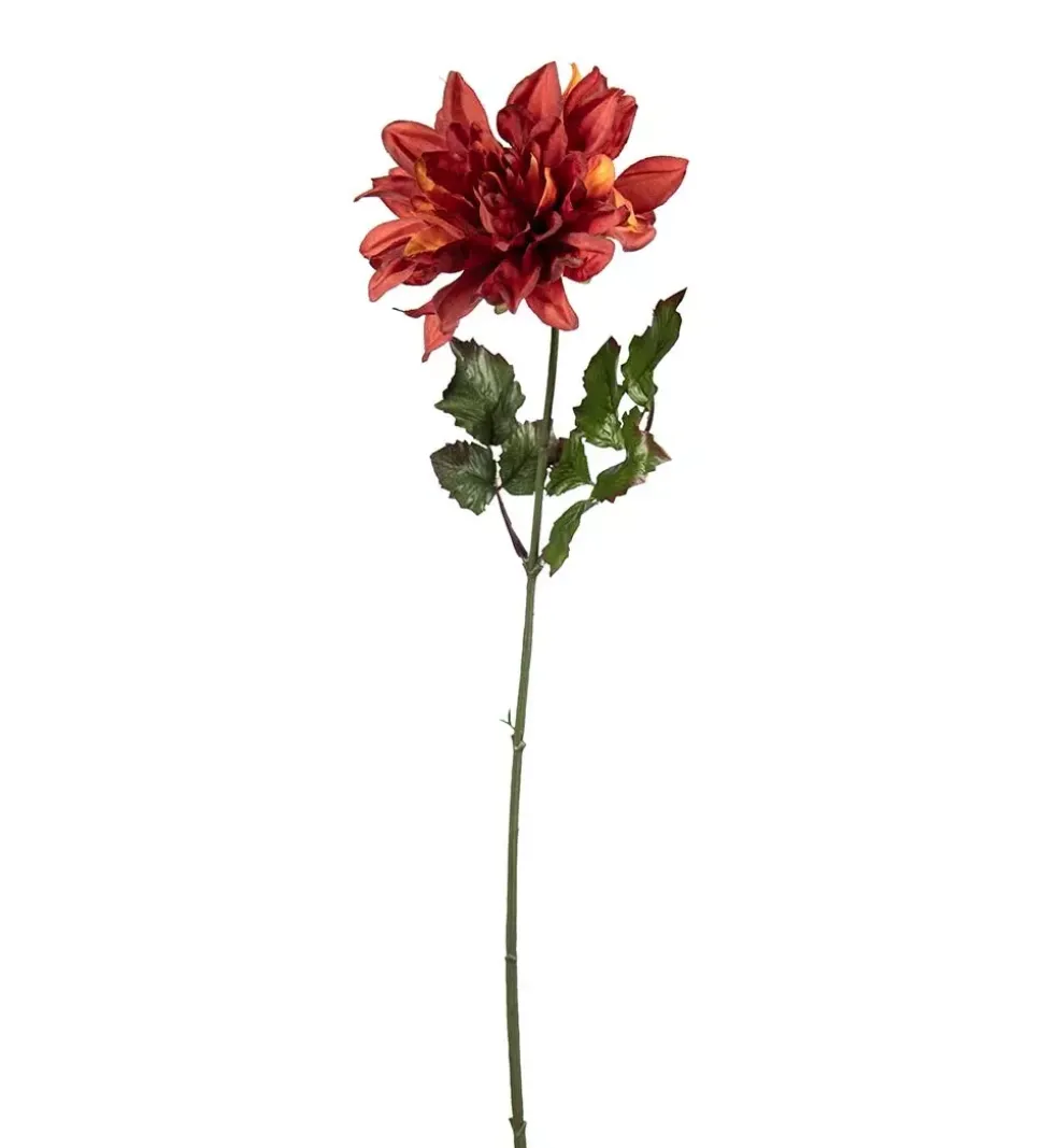 Dahlia Oransj H45