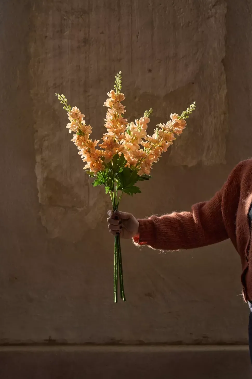 Delphinium Fersken H75