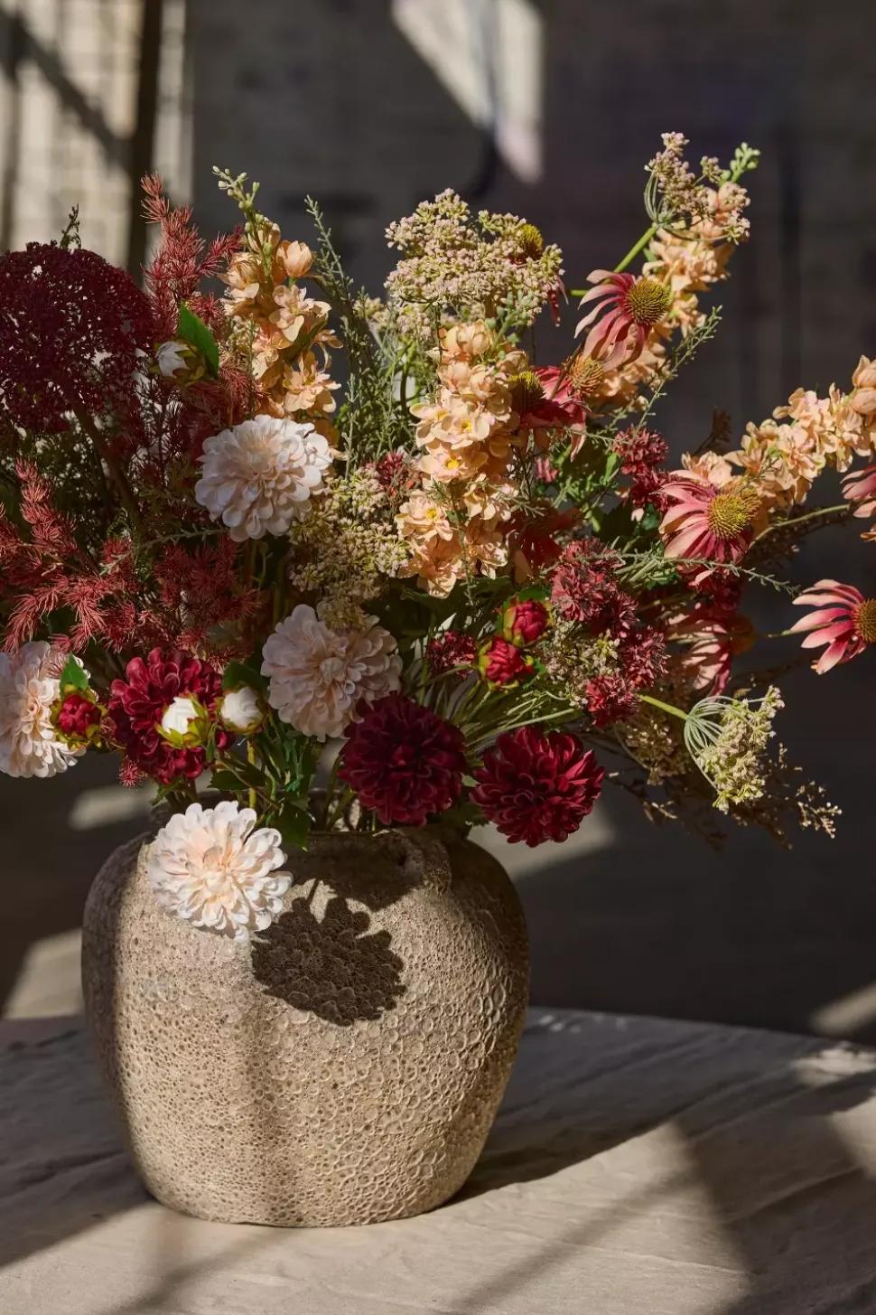 Delphinium Fersken H75