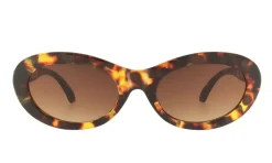Diana Tortoise Solbriller