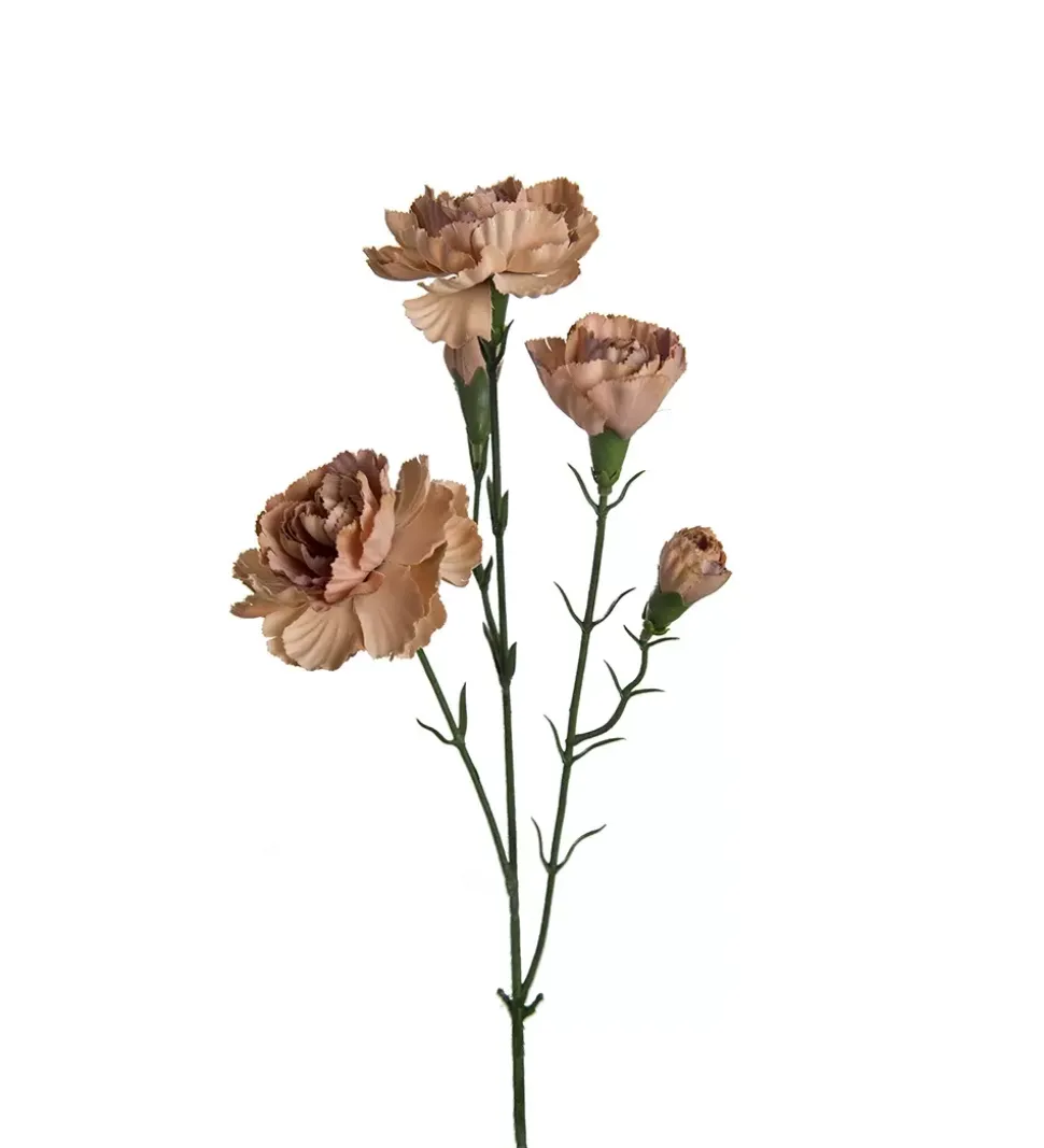 Elegance Nellik Beige 65cm