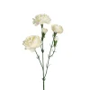 Elegance Nellik Hvit H65