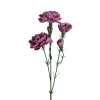 Elegance Nellik Lilla H65