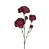 Eleganse Nellik Burgunder H65