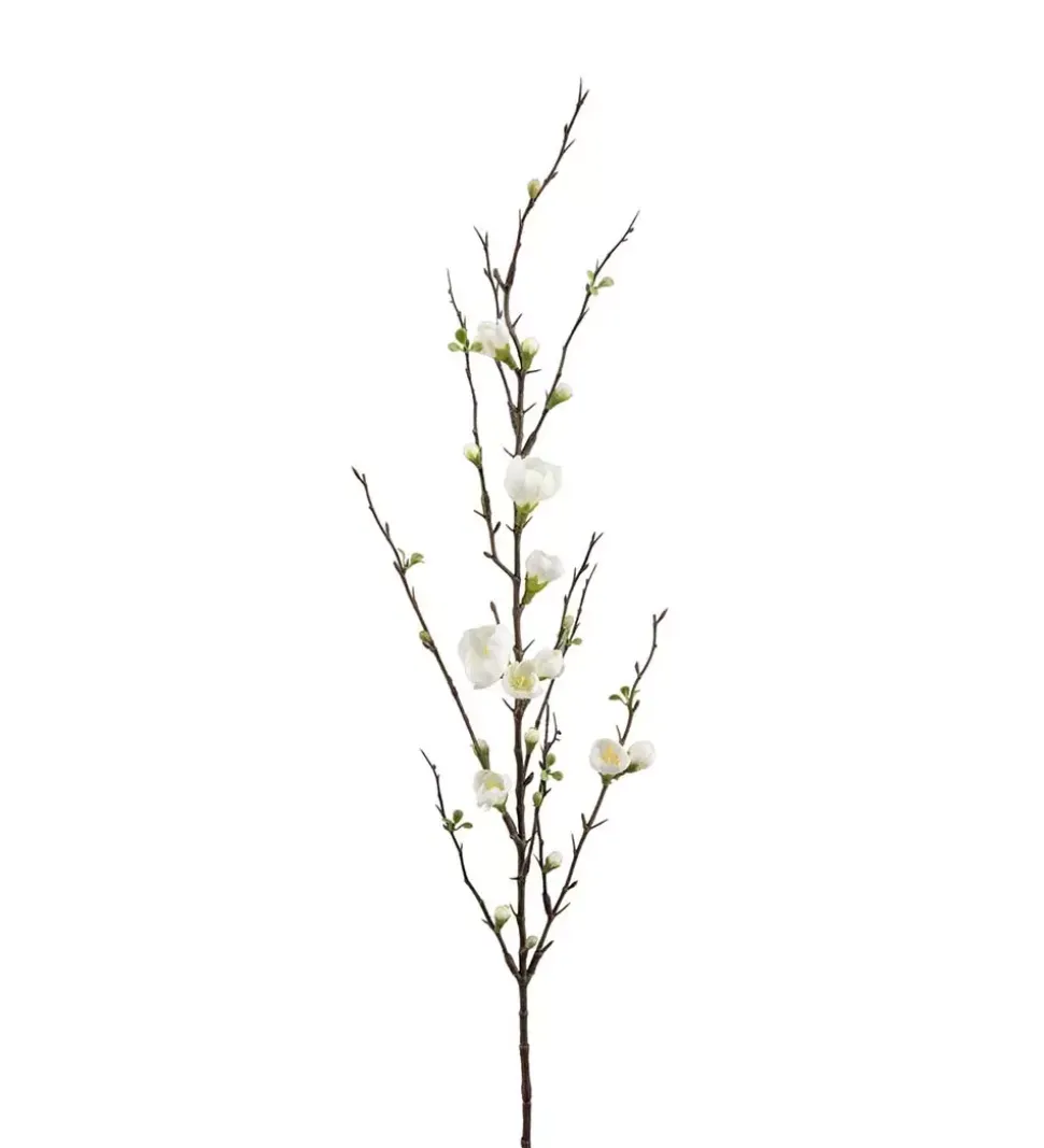 Epleblomst H90cm hvite