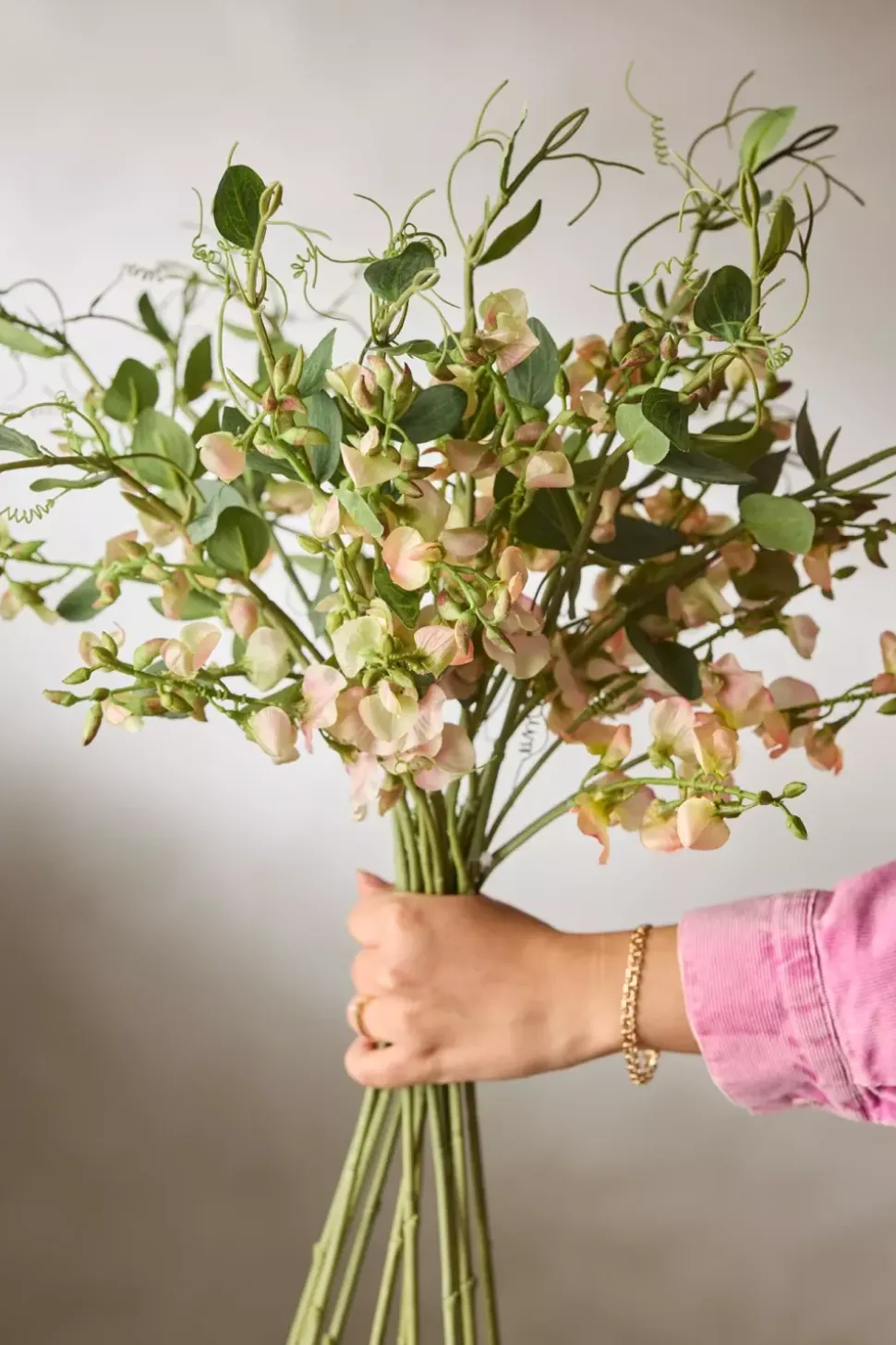 Erteblomst Fersken H69