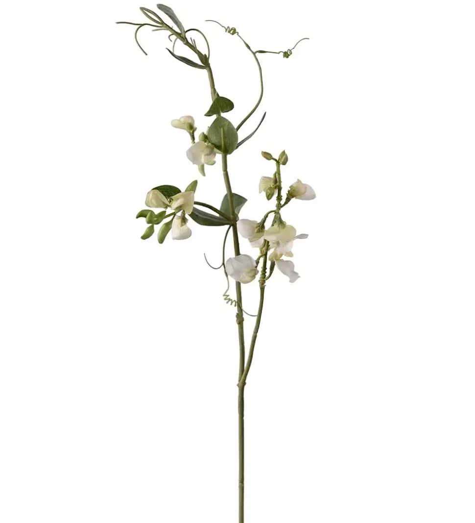 Erteblomst Hvit H69