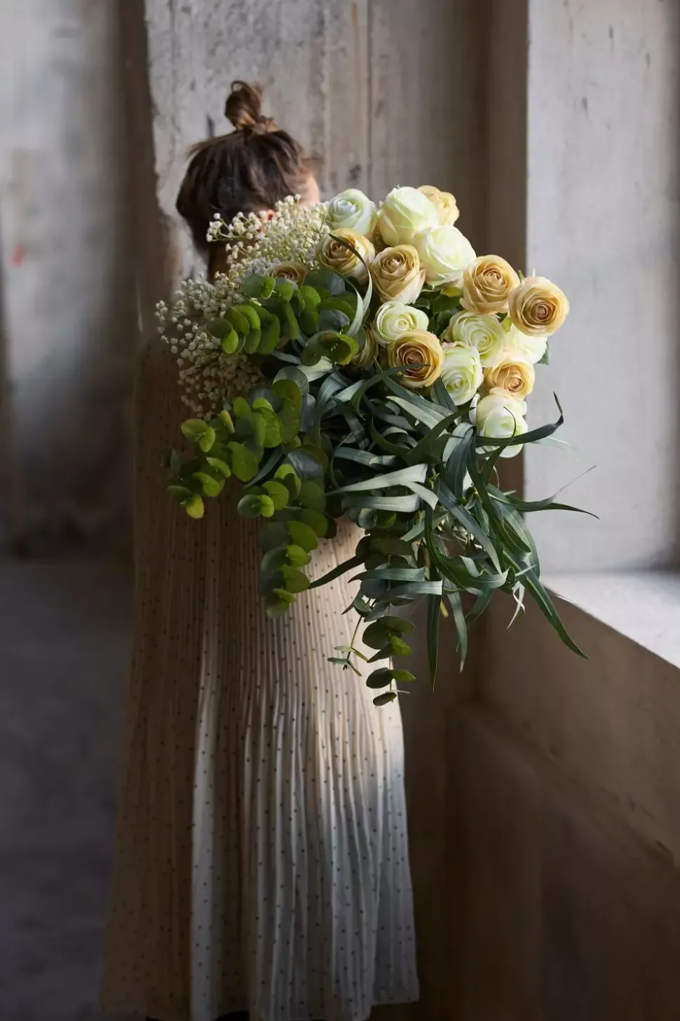 Eucalyptus Globulus