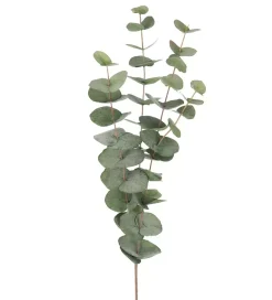 Eucalyptus Grønn H60