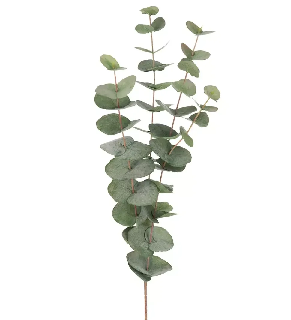 Eucalyptus Grønn H60