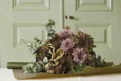 Eucalyptus H60