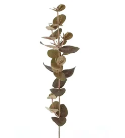 Eucalyptus H40cm