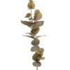 Eucalyptus H40 Grønn