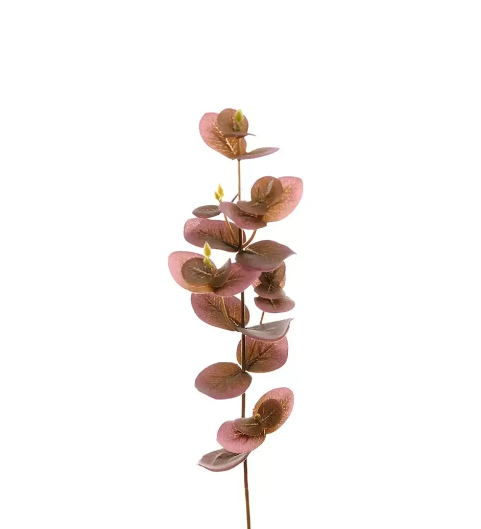 Eucalyptus H40 Lilla