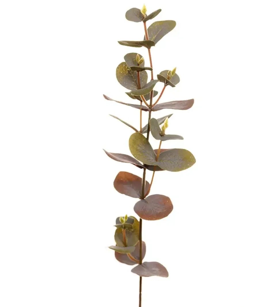 Eucalyptus H40 Varm Grønn
