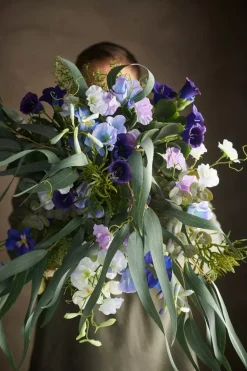 Eucalyptus m/Bær H70