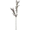 Eukalyptus Burgunder H70