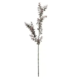 Eukalyptus Burgunder H70