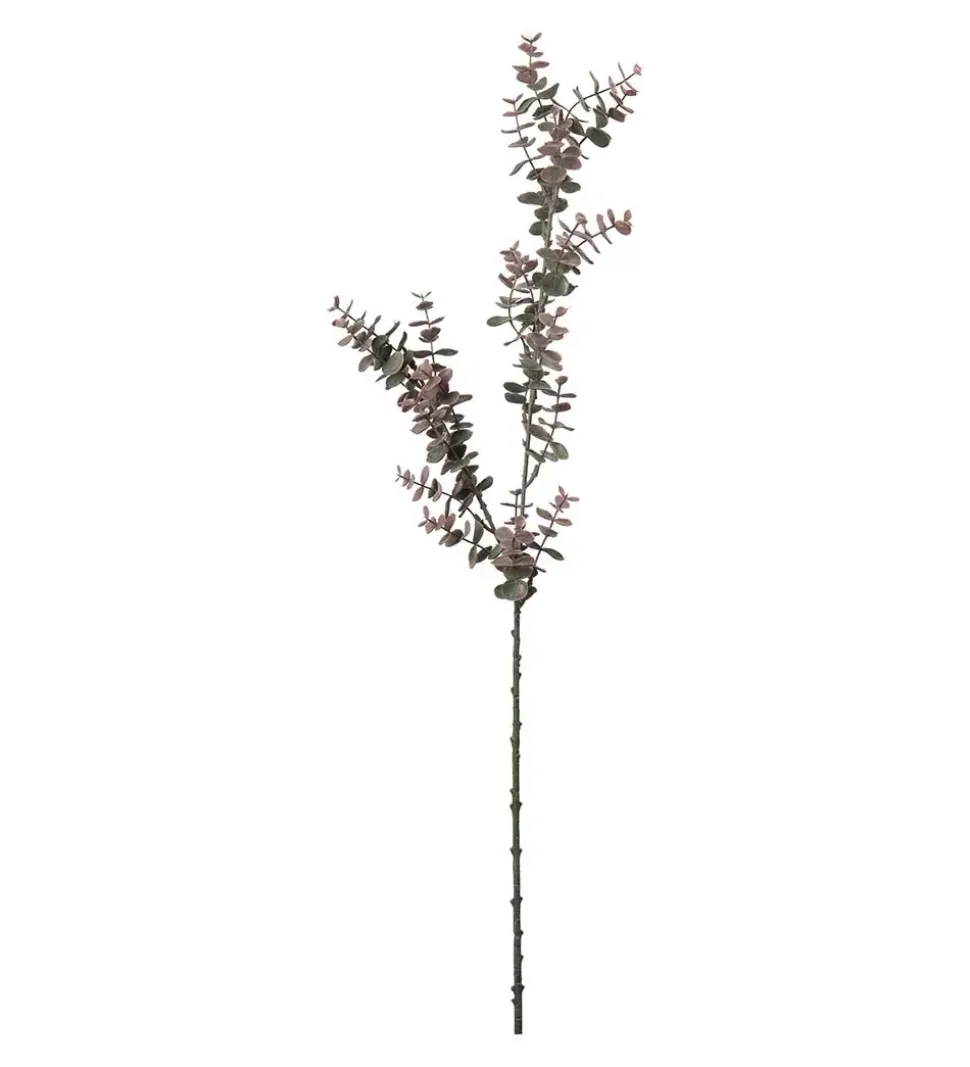 Eukalyptus Burgunder H70