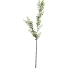 Eukalyptus Grønn H70