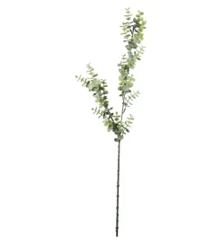 Eukalyptus Grønn H70