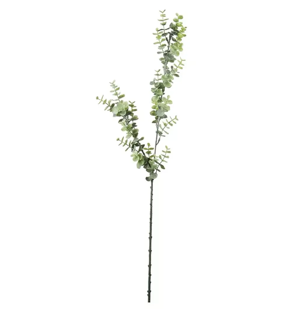 Eukalyptus Grønn H70