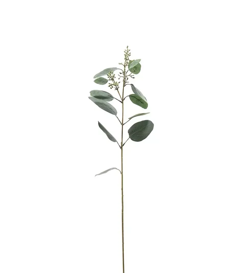 Eukalyptus H87