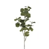 Eukalyptus H70